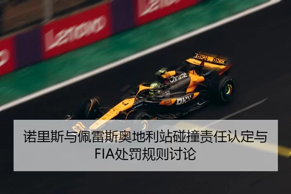 nuo-li-si-yu-pei-lei-si-ao-di-li-zhan-peng-zhuang-ze-ren-ren-ding-yu-chu-fa-gui-ze-tao-lun-2-394.jpg
