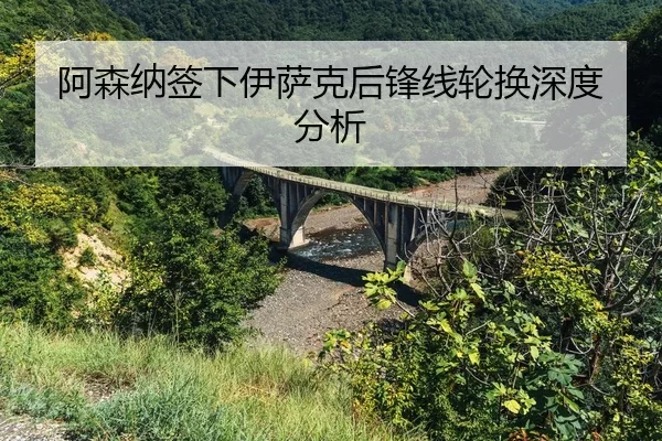 a-sen-na-qian-xia-yi-sa-ke-hou-feng-xian-lun-huan-shen-du-fen-xi-2-821.jpg